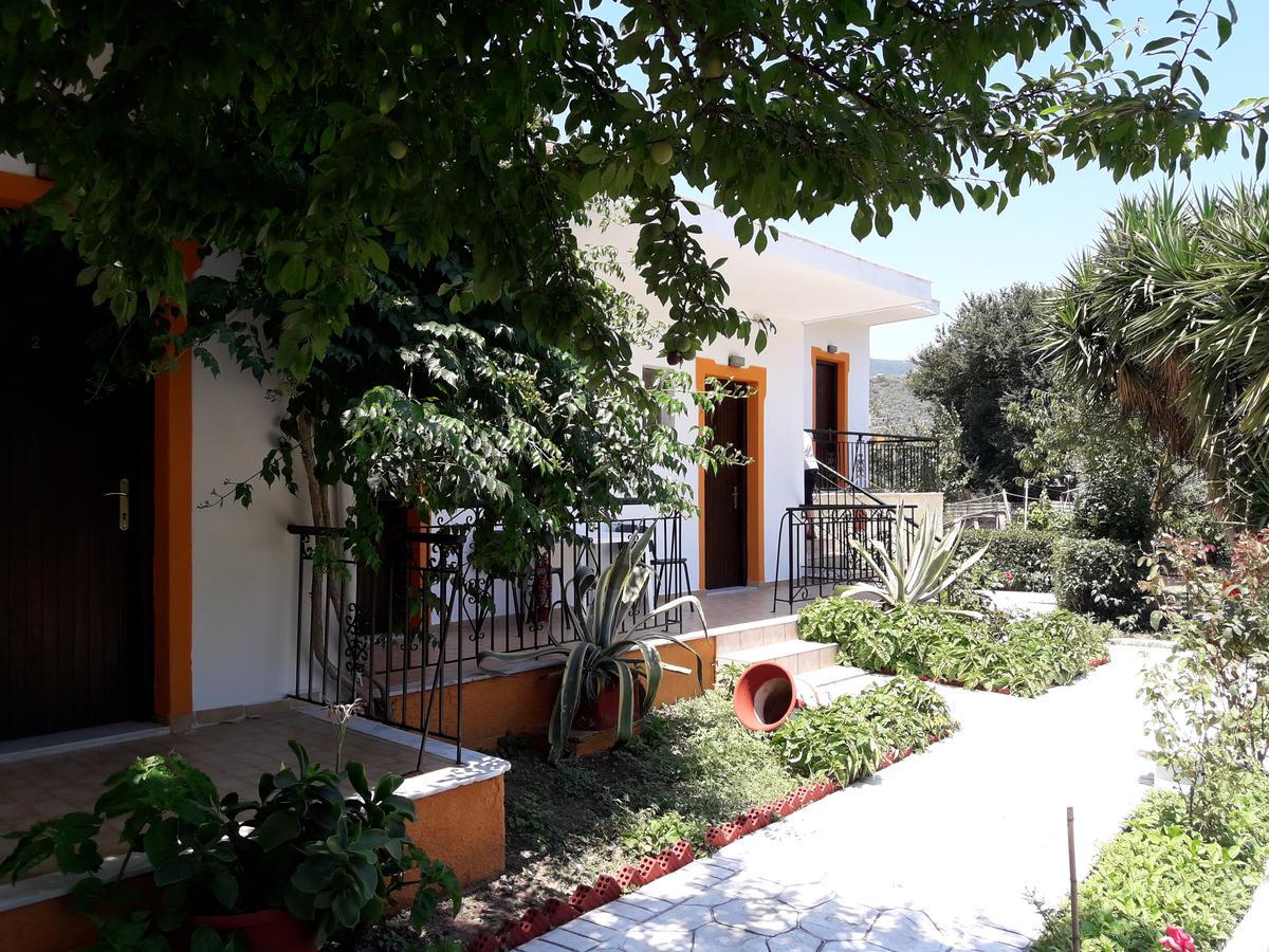 Studios Dimitris Punta ภายนอก รูปภาพ